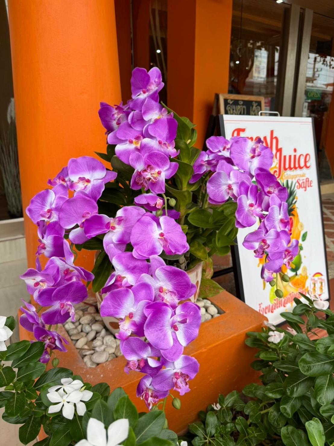 Venice Hotel Hua Hin Ngoại thất bức ảnh